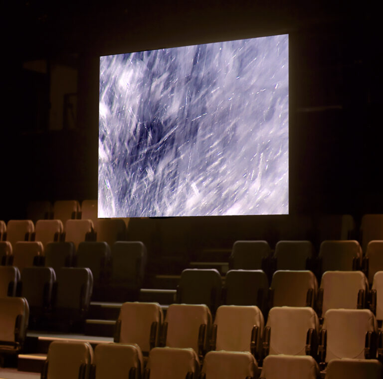 Adaption 2011