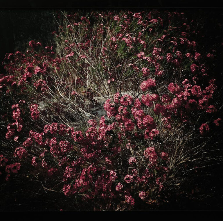 Untitled (Moment) 2002, diptych